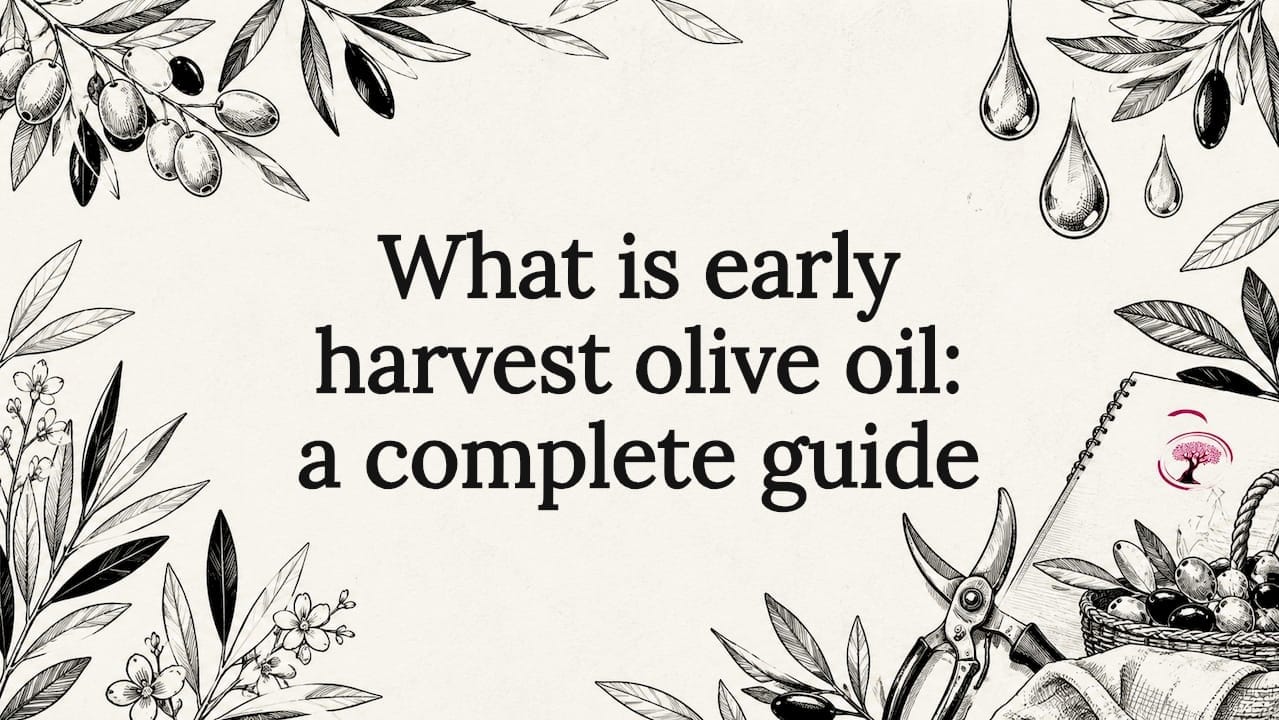What is early harvest olive oil: a complete guide
